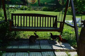 Фото номера Двухместный номер с 1 кроватью Гостевой дом The Old House Guest House г. Obedinenie 62